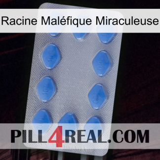 Racine Maléfique Miraculeuse 21
